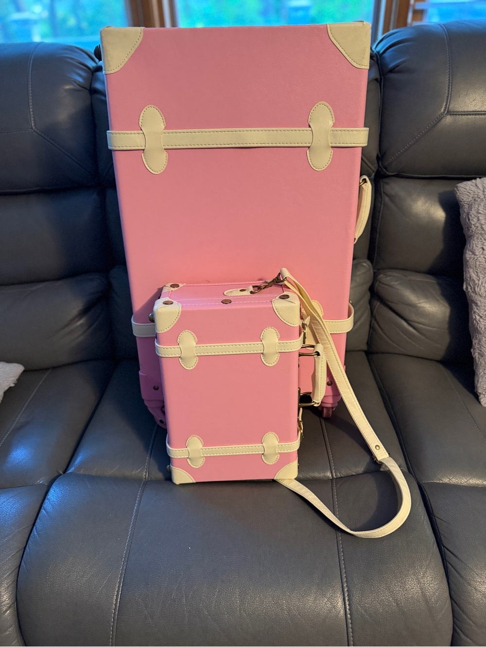 Pink Structured Trunk Luggage Set with Cream Trim